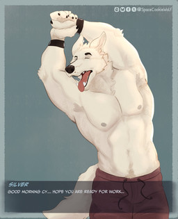 anthro bottomwear clothed clothed_anthro clothed_male clothing dialogue drawstring_bottomwear eyes_closed fur male male_anthro solo stretching tail text tongue tongue_out topless topless_male white_body white_fur wristband spacecookiewolf remember_the_flowers silver_(remember_the_flowers) arctic_fox canid canine fox mammal true_fox 2026 absurd_res artist_name english_text hi_res