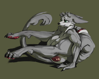 anthro backbend breasts claws contortionism feet female flexible fur genitals green_eyes grey_body grey_fur paws soles solo vaginal vulva gyy canid canine mammal 5:4