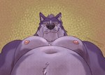 anthro belly big_pecs looking_at_viewer looking_down male musclegut muscular navel nipples overweight pecs smile smirk solo amarox amarox_(character) canid canine canis mammal wolf 2024 digital_drawing_(artwork) digital_media_(artwork) hi_res