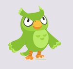 beak cosplay crossover_cosplay feathers green_body green_feathers green_wings male mascot nude orange_body simple_background solo wings yellow_beak riaoracreations animal_crossing duolingo nintendo blathers_(animal_crossing) duo_(duolingo) avian bird owl absurd_res crossover hi_res