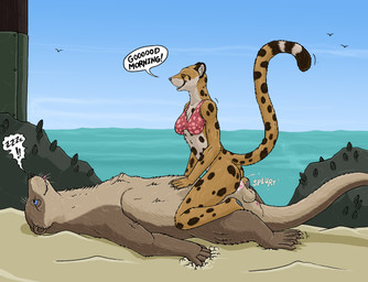 ambiguous_penetration animal_genitalia anthro anthro_on_anthro anthro_penetrated anthro_penetrating anthro_penetrating_anthro anus balls beach blue_eyes bodily_fluids bottomless bra bra_only brown_body brown_eyes brown_fur clothed clothing cowgirl_position cum cum_inside dialogue dominant dominant_female duo female female_anthro female_penetrated from_front_position fur genital_fluids genitals interspecies male male/female male_anthro male_penetrating male_penetrating_female markings on_bottom on_top penetration penile penile_penetration penis sand sea semi-anthro sex sheath sleep_sex sleeping snout sound_effects speech_bubble spots spotted_body spotted_fur tail tan_body tan_fur text underwear underwear_only vowelless vowelless_sound_effect waking_up water whiskers zzz strega beachcomber_(strega) callie_(strega) ambient_bird cheetah felid feline mammal mustelid otter 2026 absurd_res english_text hi_res