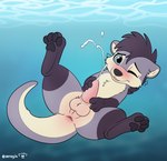 animal_genitalia anus balls bodily_fluids cum feral genital_fluids genitals hi_res hindpaw male mammal masturbation mustelid otter pawpads paws penile penile_masturbation sheath solo swimming tail tail_anus thick_tail underwater water xenoyia