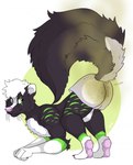 anthro ass_up butt clothed clothing fart fart_fetish feces looking_back male nude partially_clothed pawpads paws raised_tail skunk_spray skunk_tail slim smelly soiling solo tail underwear rockyjstinkston ravick_the_skunk mammal mephitid skunk hi_res