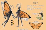 larva male scientific_name solo text flashquatsch rey_(flashquatsch) arthropod butterfly caterpillar insect lepidopteran monarch_butterfly english_text model_sheet