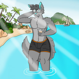 anthro beach bottomwear clothing container cup male shorts solo water hudi canid canine canis mammal wolf 1:1 hi_res