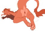 2018 4_toes andromorph_(lore) anthro anus ares_(devilenby) big_tail butt digital_media_(artwork) feet female fur genitals hair hybrid looking_at_viewer lying mammal mane matuska open_mouth pawpads paws presenting pussy red_body red_fur red_hair short_hair simple_background solo tail teeth toes tongue tongue_out white_background yellow_eyes