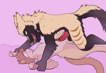 aggressive animal_genitalia animal_penis anthro bodily_fluids canine_genitalia canine_penis countershading duo erection female genitals knot knotted_penis male male/female nude nude_anthro nude_female nude_male penis pink_background pinned predator/prey saliva scared shaking sharp_teeth simple_background tail teeth tongue trembling vulva qtipps domestic_cat felid feline felis mammal sergal 2025 hi_res nonbinary_(lore)