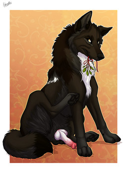 animal_genitalia animal_penis balls black_body black_fur canine_genitalia canine_penis erection feral fur genitals knot penis sitting solo hybernation canid canine canis domestic_dog mammal