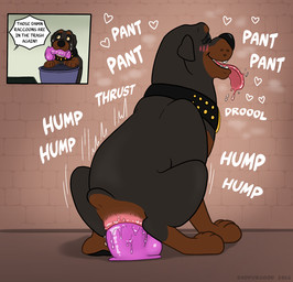 anal anal_masturbation anal_penetration anal_tugging anus big_anus blush blush_lines bodily_fluids breath collar crouching dildo dildo_in_ass dildo_insertion drooling feral heart_symbol humanoid_dildo looking_pleasured male male_feral masturbation motion_lines nub_tail object_in_ass orifice_tugging panting penetration riding_dildo saliva sex_toy sex_toy_in_ass sex_toy_insertion solo steam sweat sweatdrop text tongue tongue_out trash_can whisker_spots badfurgood vito_(badfurgood) canid canine canis domestic_dog mammal mastiff molosser rottweiler english_text hi_res