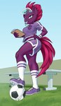 anthro anthrofied armband ball bottomwear broken_horn clipboard clothing dolphin_shorts female footwear fur hair hat headgear headwear horn purple_body purple_fur purple_hair shoes shorts soccer_ball socks solo visor_cap dstears friendship_is_magic hasbro my_little_pony my_little_pony:_the_movie_(2017) mythology tempest_shadow_(mlp) equid equine mammal mythological_creature mythological_equine unicorn hi_res