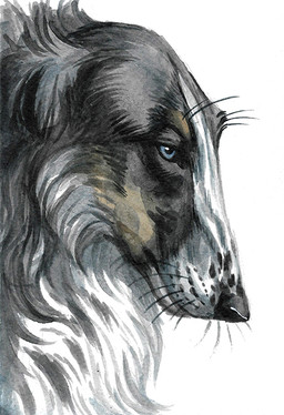 ambiguous_feral ambiguous_gender black_nose blue_eyes cheek_tuft facial_tuft feral fur glistening glistening_eyes grey_body grey_fur mouth_closed semi-realistic side_view simple_background solo tuft whiskers white_background white_body white_fur heatherwolf borzoi canid canine canis domestic_dog hunting_dog mammal sighthound detailed