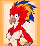 anthro avian_arms beak breasts feather_hair feather_tuft feathered_crest feathers featureless_breasts female head_crest looking_at_viewer non-mammal_breasts nude pseudo_hair simple_background solo standing tuft vike_mike avian bird macaw neotropical_parrot parrot true_parrot bust_portrait digital_drawing_(artwork) digital_media_(artwork) hi_res portrait