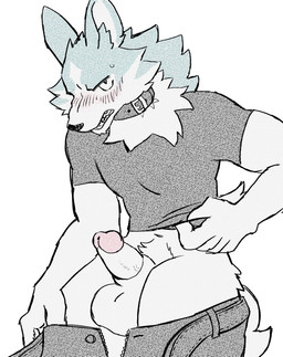 animal_genitalia anthro balls black_nose blue_body blue_fur blush bottomwear bottomwear_down clothed clothing collar denim denim_bottomwear denim_clothing fur genitals glans grey_bottomwear grey_clothing grey_collar grey_jeans grey_pants grey_shirt grey_t-shirt grey_topwear humanoid_genitalia humanoid_hands humanoid_penis hybrid_genitalia hybrid_penis jeans male multicolored_body multicolored_fur neck_tuft pants pants_down partially_clothed penis pink_glans sheath sheathed_humanoid_penis shirt solo t-shirt topwear tuft two_tone_body two_tone_fur vein veiny_penis white_balls white_eyes white_inner_ear white_penis birdpaw_(artist) brand_new_animal studio_trigger shirou_ogami canid canine canis mammal wolf 2022 digital_media_(artwork) halftone hi_res portrait three-quarter_portrait