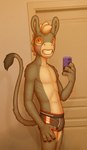 anthro building bulge cellphone clothed clothing electronics house male paintover phone selfie slim smile solo underwear underwear_only chokodonkey conditional_dnp choko_(chokodonkey) asinus donkey equid equine mammal hi_res