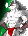 abs anthro athletic bandage biceps big_muscles biped black_body black_fur black_nose blush bodily_fluids bottomwear bulge chest_tuft clothed clothing frown fur grey_body grey_eyes grey_fur grey_hair hair loincloth long_hair male markings muscular muscular_anthro muscular_male nipples pecs pose scar solo standing sweat tail topless tuft underwear white_body white_fur hentist sega shining_(sega) shining_wind rouen_(shining) canid canine canis mammal wolf 2013