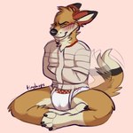 anthro bdsm blush bondage bound clean_diaper clothed clothing diaper eyes_closed male restraints sitting solo straitjacket wearing_diaper tinyhops canid canine fox mammal 1:1 hi_res