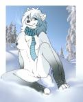 anthro breasts female fur genitals looking_at_viewer nude outside pussy scarf snow solo spread_legs spreading white_body white_fur malware canid canine mammal hi_res