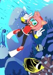 anthro breasts bubble clothing diving_mask eyewear female gloves goggles handwear looking_at_viewer mask scuba scuba_diver scuba_diving scuba_fins scuba_gear scuba_suit scuba_tank sea solo swimming swimwear thin_calves thin_legs thin_thighs tight_clothing underwater underwater_scenery water wetsuit chef_cheiro_(artist) sega sonic_the_hedgehog_(series) amy_rose eulipotyphlan hedgehog mammal absurd_res hi_res