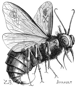 ambiguous_gender antennae_(anatomy) collar crown feral fur headgear insect_wings skull_and_crossbones solo wings louis_le_breton dictionnaire_infernal mythology beelzebub arthropod demon fly_(animal) insect 1863 19th_century ancient_art black_and_white hi_res monochrome signature male_(lore)