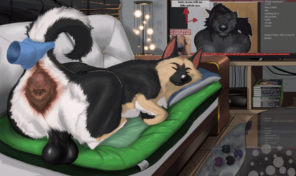 anatomically_correct anatomically_correct_anus anatomically_correct_genitalia anus big_anus big_butt black_body black_fur butt cheek_tuft chew_toy claws clothing dirty_anus disembodied_hand dog_bed electronics facial_markings facial_tuft feces feces_on_anus feral floating floating_hands fluffy fluffy_chest fluffy_ears fluffy_tail fur furniture genitals ghost_hand gloves handwear head_markings holding_tail markings musk musky_butt neck_tuft pet_bed pillow presenting presenting_anus presenting_balls presenting_hindquarters quadruped raised_tail raphe_(anatomy) sleeping smelly smelly_butt smile smirk sofa tail tan_body tan_fur television text toy tuft white_body white_fur hazed01 microsoft mythology xbox xbox_360 xbox_game_studios ryan_(ry_the_shep) vincent_vann_valentine canid canine canis domestic_dog german_shepherd herding_dog mammal mythological_canine mythological_creature pastoral_dog werecanid werecanine werecreature werewolf absurd_res english_text hi_res meme