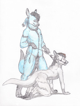 anthro balls bdsm blue_body blue_fur duo fur genitals grey_body grey_fur male male/male muzzle_(object) muzzled ownership petplay red_eyes roleplay simple_background white_background skyfifer kangaroo macropod mammal marsupial hi_res
