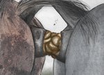 ambiguous/ambiguous ambiguous_gender anal_tugging anatomically_correct anatomically_correct_anus anus ass_to_ass black_anus brown_body brown_fur butt butt_shot duo equine_anus faceless_character feces feces_exchange feces_in_ass feral fur grey_body grey_fur pooping realistic_feral repacking scat_transfer scatplay darkmare ambient_arthropod ambient_fly ambient_insect arthropod equid equine fly_(animal) horse insect mammal filth