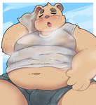 4_fingers anthro belly big_belly blush bodily_fluids bottomwear bulge clothing cloud fingers kemono male moobs navel overweight overweight_male shorts solo sweat kusosensei inigo_(kusosensei) bear mammal 2024 hi_res