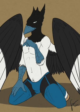 anthro beak black_body black_fur black_wings blue_beak blue_clothing blue_eyes blue_legwear blue_panties blue_underwear bulge clothed clothing crossdressing feathered_wings feathers front_view fur glistening glistening_eyes hooves kneeling legwear looking_at_viewer male male_anthro mouth_closed navel panties slim_anthro slim_male solo topless underwear white_body white_fur white_wings wings hufnaar mythology kumagoro avian gryphon mythological_avian mythological_creature 2014 absurd_res dated hi_res signature