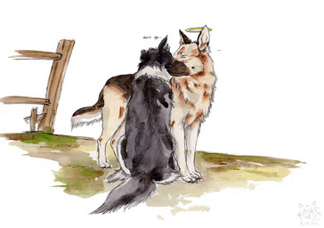 ambiguous_gender black_body black_fur brown_body brown_fur duo fence feral fur halo logo outside rear_view side_view sitting tan_body tan_fur white_body white_fur yellow_eyes kola_(artist) border_collie canid canine canis collie domestic_dog german_shepherd herding_dog mammal pastoral_dog sheepdog 2017 artist_logo dated signature traditional_media_(artwork)
