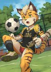 anthro ball bulge clothing footwear fur green_eyes hair inner_ear_fluff jockstrap kemono male markings shirt shoes shota sneakers soccer_ball soccer_uniform socks solo sportswear striped_body striped_fur striped_markings striped_tail stripes tail tail_markings text topwear tuft underwear uniform white_body white_fur white_hair yellow_body yellow_fur young young_anthro young_male daikung ryusuke_kasagawa felid mammal pantherine tiger 2024 absurd_res hi_res japanese_text translated