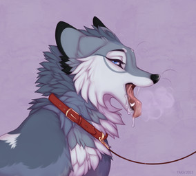 ahegao aroused black_nose blue_eyes bodily_fluids collar dripping drooling eyebrows fangs female feral fur grey_body grey_fur leash leashed_collar looking_at_viewer looking_pleasured mouth_shot narrowed_eyes open_mouth red_collar saliva saliva_drip saliva_on_tongue saliva_string sharp_teeth side_view simple_background solo teeth text tongue tongue_out white_body white_fur taka_(artist) a.o.kigahara canid canine canis mammal wolf 2023 artist_name bust_portrait colored dated detailed digital_drawing_(artwork) digital_media_(artwork) digital_painting_(artwork) hi_res painting_(artwork) portrait shaded signature