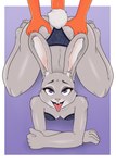 4_toes 5_fingers ahegao anthro big_butt butt clothed clothing feet female fingers genitals lingerie looking_pleasured male male/female orange_penis panties penis sex solo toes underwear dirtyduckart disney zootopia judy_hopps lagomorph leporid mammal rabbit hi_res