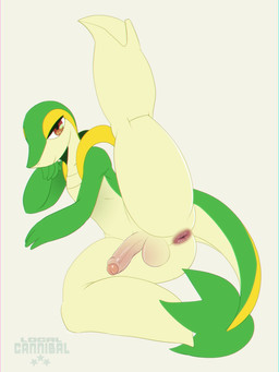 4_fingers anthro anthrofied anus arm_support balls bedroom_eyes bent_leg biped brown_eyes butt closed_smile feet femboy fingers foreskin genitals glistening glistening_eyes gradient_penis green_body half-erect hand_on_chin humanoid_genitalia humanoid_penis iris leaf leaf_(anatomy) leaf_tail leaning_on_elbow looking_at_viewer lying male male_anthro mouth_closed multicolored_body multicolored_tail narrowed_eyes nude nude_anthro nude_male on_side penis pokemorph presenting presenting_anus presenting_balls presenting_hindquarters presenting_penis pupils raised_leg red_anus seductive simple_background smile smiling_at_viewer snout tail tan_body thick_thighs white_sclera y_anus yellow_body local_cannibal nintendo pokemon generation_5_pokemon pokemon_(species) snivy 2022 3:4 archived_source digital_drawing_(artwork) digital_media_(artwork) full-length_portrait hi_res portrait shaded simple_shading watermark