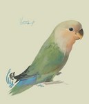 ambiguous_gender feathers feral multicolored_tail peak simple_background simple_eyes solo tail tail_motion wings junkochi avian bird lovebird parrot true_parrot absurd_res hi_res