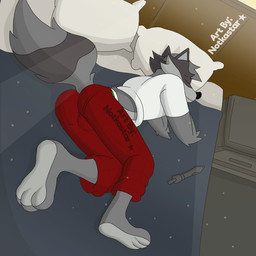 anthro bed biped briefs bulge bulge_from_behind clothing furniture inside male male_anthro pajama_pants pajamas pillow sleeping solo underwear underwear_outline conditional_dnp notkastar orf_(character) mammal procyonid raccoon 1:1