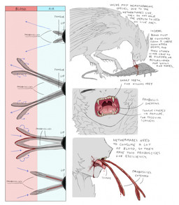 ambiguous_feral ambiguous_gender blood blood_from_mouth blood_in_mouth bodily_fluids detailed_mouth duo eyes_closed feathered_ears feathered_wings feathers feral grey_body grey_feathers hard_vore information open_mouth pink_tongue proboscis_(anatomy) sharp_teeth speculative_evolution tan_teeth teeth text tongue vore wings jejejunum european_mythology greek_mythology mythology arthropod avian harpy insect mythological_avian mythological_creature nethermare 2025 digital_drawing_(artwork) digital_media_(artwork) english_text hi_res
