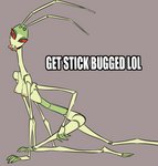 antennae_(anatomy) anthro breasts female grey_background kneeling mandibles multi_arm multi_limb non-mammal_breasts nude red_sclera simple_background skinny solo glacierclear get_stickbugged_lol arthropod insect phasmid stick_insect digital_media_(artwork) hi_res meme