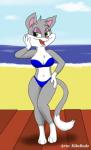 anthro beach big_breasts bikini breasts cleavage clothed clothing detailed_background female green_eyes outside sand seaside sky solo swimwear two-piece_swimsuit kikerodz animaniacs warner_brothers rita_(animaniacs) domestic_cat felid feline felis mammal 2015 hi_res