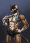 abs anthro athletic athletic_male bedroom_eyes big_hands black_clothing black_underwear blue_crystal boxer_briefs boxers_(clothing) brown_eyebrows brown_eyes brown_hair bulge clothed clothing crystal_necklace defined digitigrade dog_tags eyebrows fur fur_markings grey_background hair half-closed_eyes half_body half_mask half_naked hand_on_hip holding_object holding_towel inner_ear_fluff jewelry long_tail male markings mask messy_hair metal_mask muscular muscular_anthro muscular_male muscular_thighs narrowed_eyes necklace nipples orange_body orange_fur provocative pupils seductive sensual simple_background solo spiky_hair standing standing_position striped_body striped_fur striped_markings striped_tail stripes tail tail_markings toned_body toned_muscles toned_stomach toned_thighs towel tuft underwear underwear_only white_body white_facial_markings white_fur white_hands white_inner_ear white_inner_ear_fluff white_markings white_sclera leomitsu snake_teeth domestic_cat felid feline felis mammal digital_drawing_(artwork) digital_media_(artwork) digital_painting_(artwork) half-length_portrait hi_res portrait