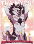 abs anthro balls biceps birthday candle chest_tuft countershading facial_hair flaccid fur genitals male muscular muscular_anthro muscular_male nipples nude pecs penis solo tuft aluminemsiren orion_(aluminemsiren) alaskan_malamute canid canine canis domestic_dog mammal nordic_sled_dog spitz wolf hi_res