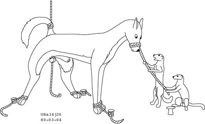 animal_genitalia balls bound feral fur genitals group legs_tied male male/male nude penis raised_tail sheath size_difference tail tied_balls toony trio urbanhermit mammal mustelid musteline true_musteline weasel 1980 black_and_white dated monochrome