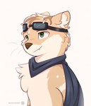 anthro eyewear goggles male simple_background solo snowstormbat adrian_(snowstormbat) mammal mustelid otter hi_res