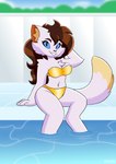 anthro bikini clothing female gold_bikini sitting solo swimming_pool swimwear tail two-piece_swimsuit travis_the_dragon mileena_smith_(travis_the_dragon) domestic_cat felid feline felis mammal absurd_res hi_res