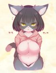 anthro biped black_hair breasts cheek_tuft clothed clothing countershade_fur countershading dipstick_tail exposed_breasts eyebrow_through_hair eyebrows facial_tuft featureless_breasts female female_anthro front_view fur green_eyes grey_body grey_fur hair hoodie inner_ear_fluff kemono looking_at_viewer markings multicolored_body multicolored_fur multicolored_tail navel pupils raised_clothing short_hair slit_pupils solo sweater tail tail_markings text topwear translucent translucent_hair tuft twitter_hoodie two_tone_body two_tone_fur underwear whiskers white_body white_fur mabo_(artist) meme_clothing domestic_cat felid feline felis mammal 2018 japanese_text meme portrait three-quarter_portrait