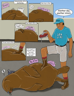 abdominal_bulge after_vore belly big_belly blep bodily_fluids brown_body brown_fur clothing digestion duo eyes_closed fatal_vore feral feral_pred flippers foot_on_belly footwear fur hand_on_belly lying male on_side rumbling_stomach saliva shoes sloshing_belly soft_vore standing text tongue tongue_out vore whiskers strega fish human mammal marine pinniped seal 2020 comic english_text hi_res shaded