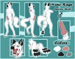 animal_genitalia animal_penis anthro blood blood_on_face blood_on_mouth bodily_fluids canine_genitalia canine_penis genitals knot male pawpads paws penis solo skymonrow kage canid canine canis mammal wolf hi_res model_sheet