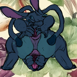 alien_genitalia animal_genitalia animal_vulva anthro anus butt canine_genitalia canine_vulva crossgender crouching female genitals mtf_crossgender multi_arm multi_limb presenting presenting_anus presenting_hindquarters presenting_vulva solo spread_anus spread_butt spread_legs spread_vulva spreading squat_position vulva yonnixart disney lilo_and_stitch stitch_(lilo_and_stitch) alien experiment_(lilo_and_stitch) 1:1 2025 hi_res andromorph_(lore)
