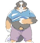 anthro black_body bottomwear brown_body clothed clothing clothing_lift kemono male overweight overweight_male pants shirt shirt_lift simple_background solo topwear white_background white_body inunoshippo bernese_mountain_dog canid canine canis domestic_dog mammal molosser mountain_dog swiss_mountain_dog 2024 hi_res