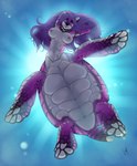 breasts collar female hair nipples nude purple_hair solo split_form water lillymoo selene_leni canid canine fox mammal reptile reptile_taur scalie scalie_taur sea_turtle taur turtle turtle_taur absurd_res hi_res