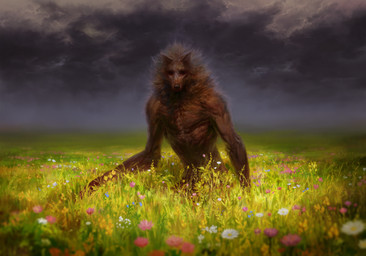 anthro brown_body brown_fur brown_mane cloud dark_clouds detailed_background empty_eyes flower flower_field fur male mane nude outside overcast plant sky solo sadnicole canid canine canis mammal wolf 2023 digital_media_(artwork) digital_painting_(artwork) half-length_portrait hi_res painting_(artwork) portrait
